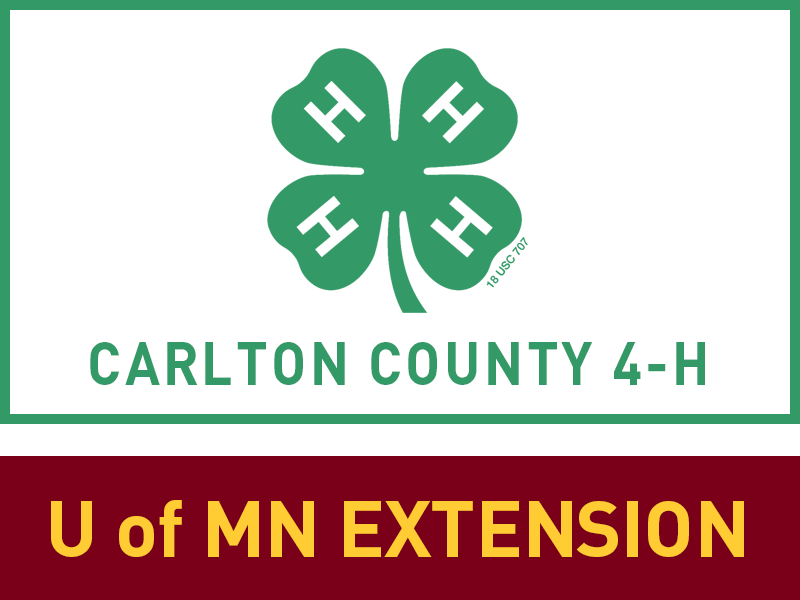 Logo for 2025 Carlton County Fair