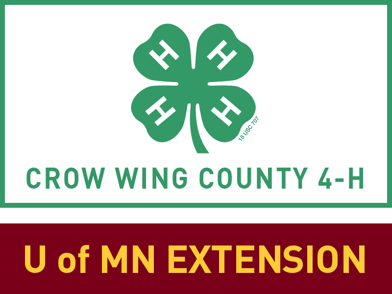 Logo for 2025 Crow Wing County Fair