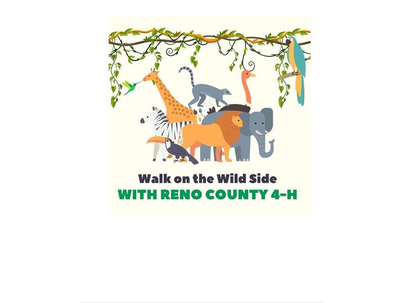 Logo for 2025 Reno County Fair