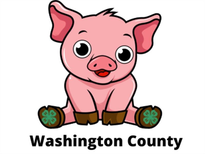 Logo for 2026 Washington County Fair