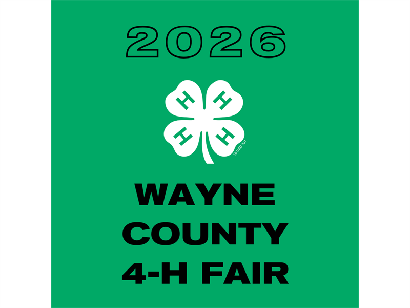 Logo for 2026 Wayne County 4-H Fair