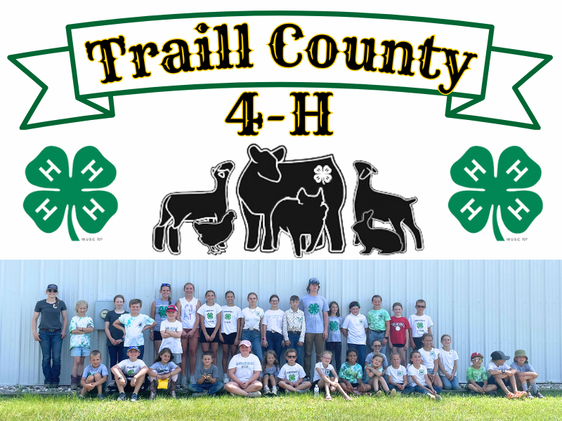 Logo for 2026 Traill County 4-H Achievement Days