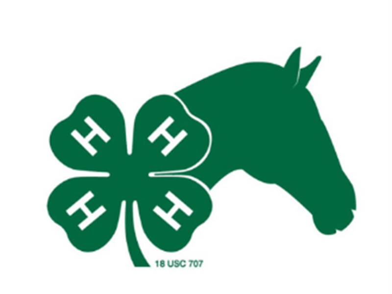 Logo for 2026 Tripp County Horse Show