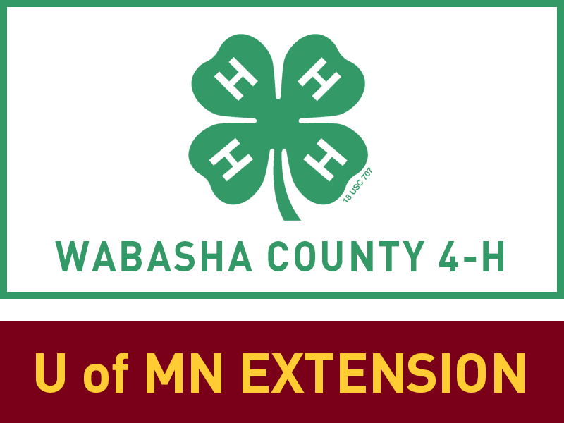 Logo for 2026 Wabasha County Fair